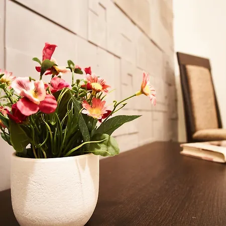 Singer | * بودابست